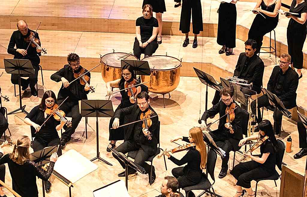 An orchestra performs. 